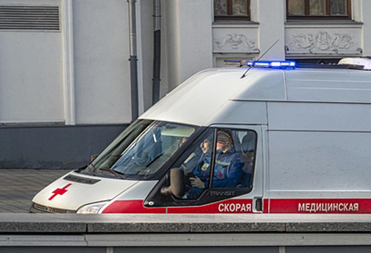 Восемь украинцев погибли в ДТП при столкновении микроавтобуса и фуры в Псковской области
