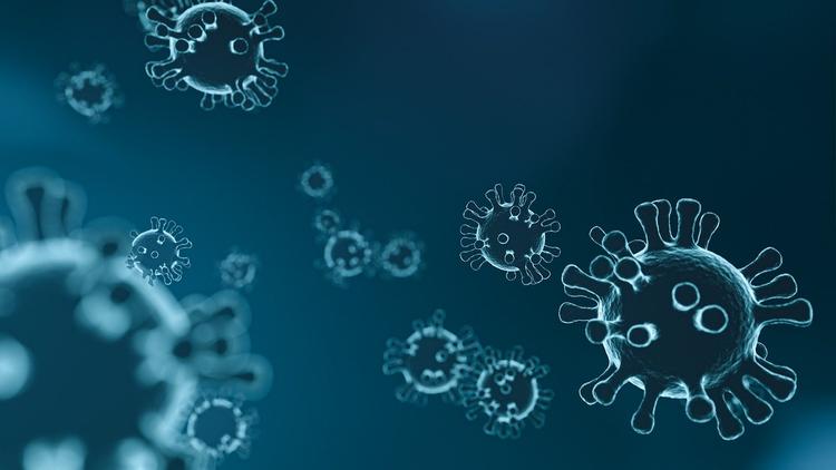 «Виден прогресс в соотношении выздоровевших и умерших» - эпидемиолог о коронавирусе