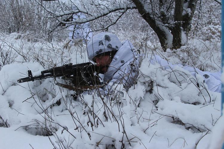 СМИ сообщили о «резкой активизации» воюющих в Донбассе ВСУ на луганском фронте    