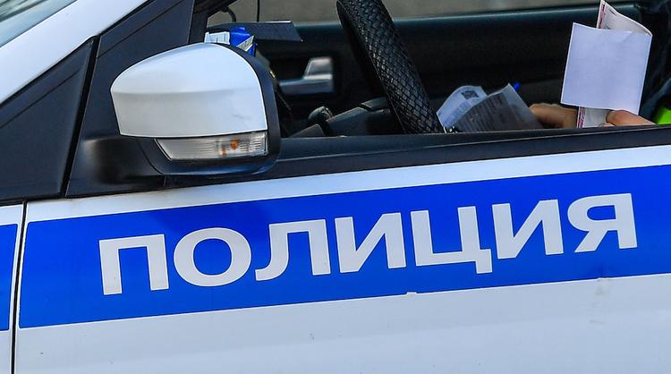Тело женщины со следами собачьих укусов обнаружено во дворе дома в Красноярске