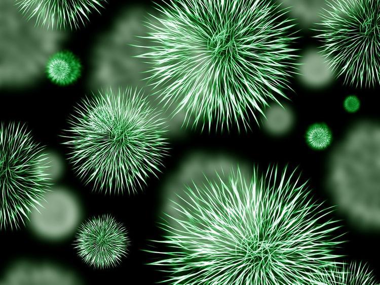  Коронавирус 25 февраля: ВОЗ не исключает возможности пандемии, вирус стремительно распространяется по Италии 