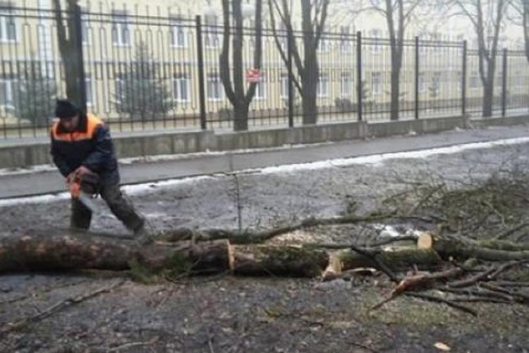 Более 12 тысяч человек оставались без света из-за урагана на Ставрополье