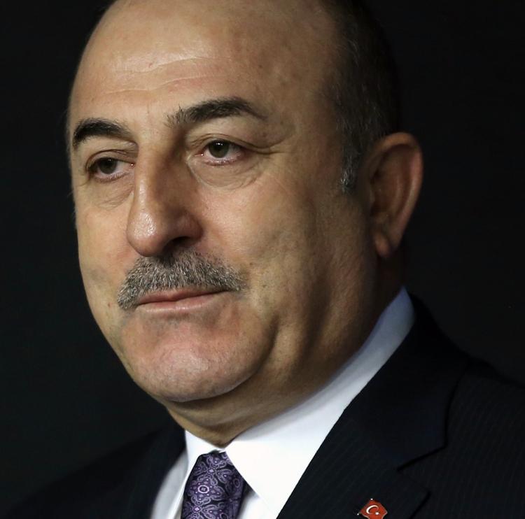 Глава МИД Турции сообщил, что истребители ВКС РФ не атакуют турецкие войска в Идлибе 