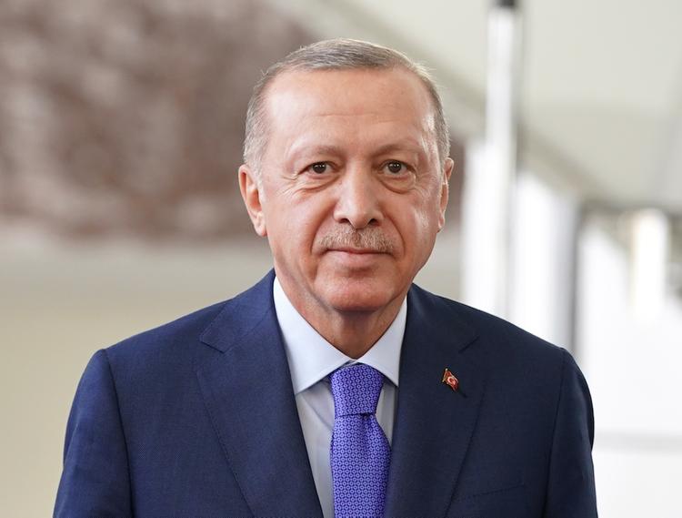 Эрдоган планирует в ближайшие дни посетить Россию