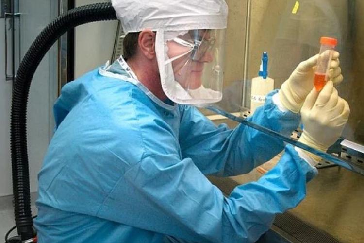 В четырех странах зарегистрированы первые случаи коронавируса