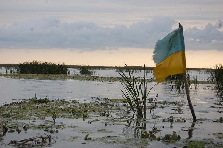 На Украине поделились впечатлением о новом премьере 