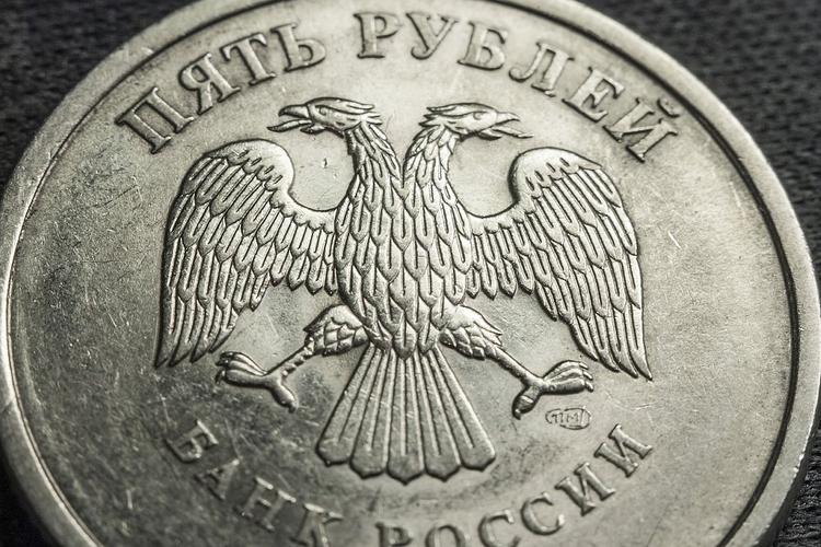 На юге России нашли поддельные монеты номиналом в 10 и 5 рублей