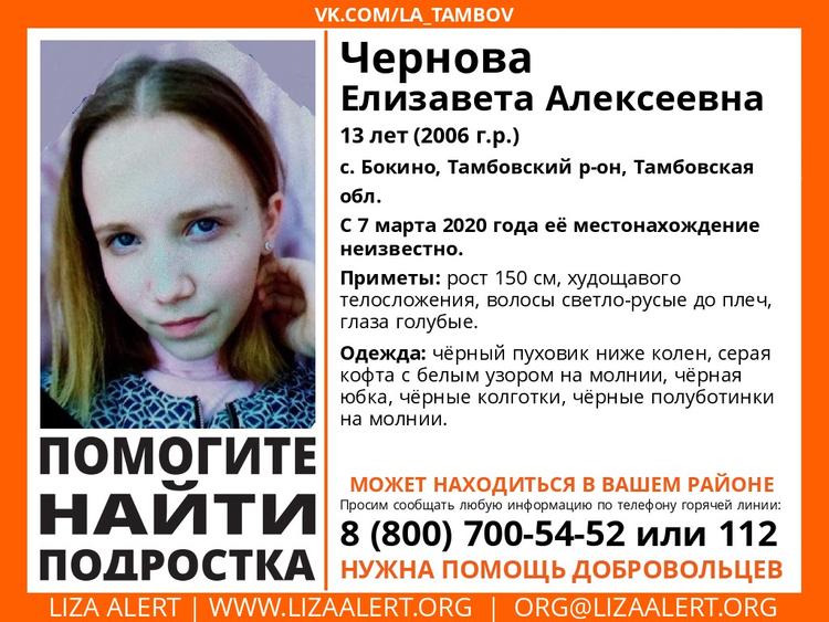 В селе Бокино под Тамбовом пропала 13-летняя Елизавета Чернова