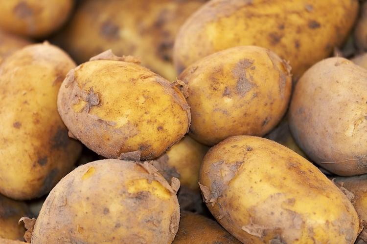 Выявлена неожиданная польза картофельного сока