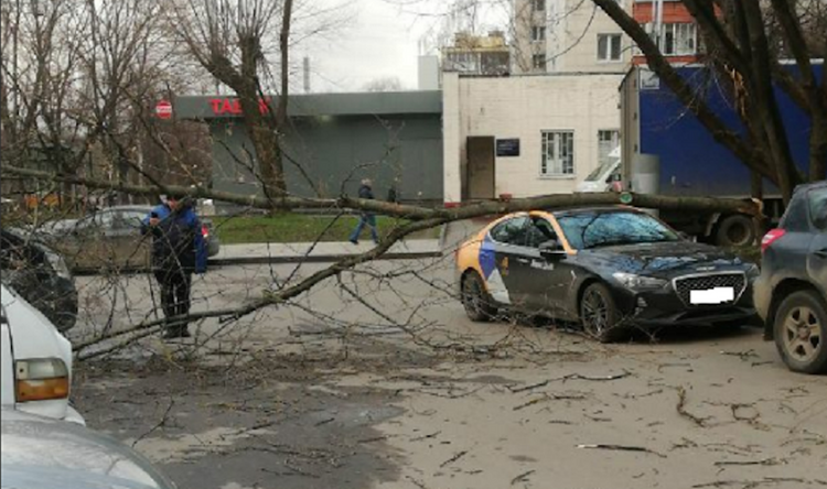 Собянин выразил соболезнования семье погибшего при урагане жителя Москвы