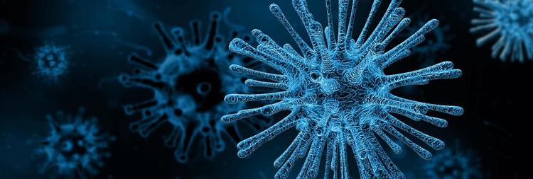 В ВОЗ объяснили высокую смертность в Италии от коронавируса