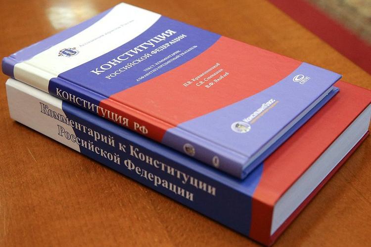 Несколько юристов,  ученых  и писателей обратились к депутатам и в Конституционный суд по поводу поправок к Конституции 