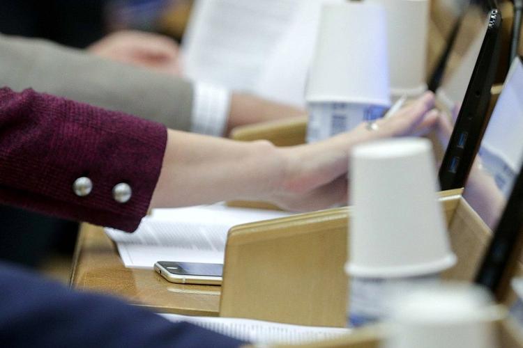 В России официально введена ответственность за нарушения при всероссийском голосовании по Конституции