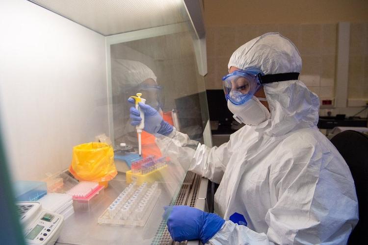 Собянин: В Москве будут проводить 10 000 тестов на коронавирус в сутки