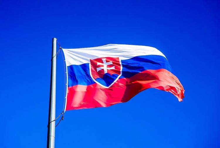 Новый министр обороны Словакии не хочет «создавать ад» в отношениях с Россией