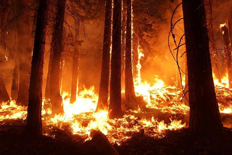 В Хакасии потушили степные пожары