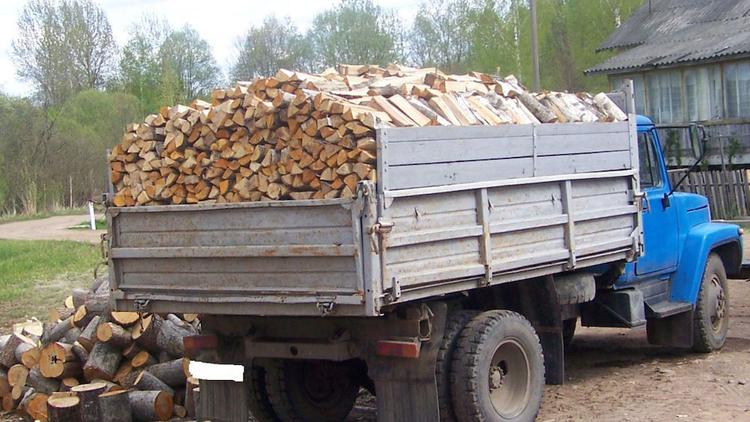 Пожилым москвичам помогут с отоплением дач дровами и углем