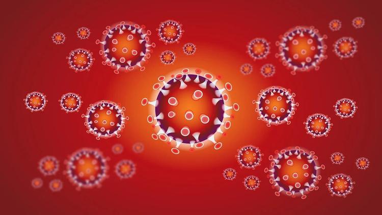 На Украине возросло число жертв коронавируса- уже скончались 17 заболевших  