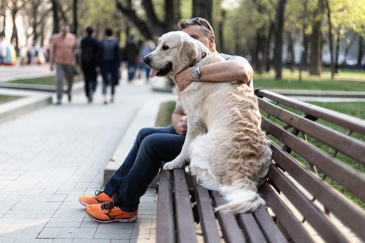 В Москве задержан гулявший с собакой мужчина