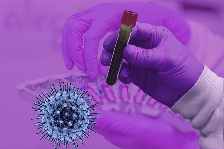 Биолог призывает не ждать от медиков «идеального» лекарства от коронавируса