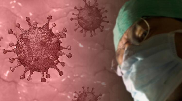 Еще 11 новых случаев коронавируса подтверждено на Кубани