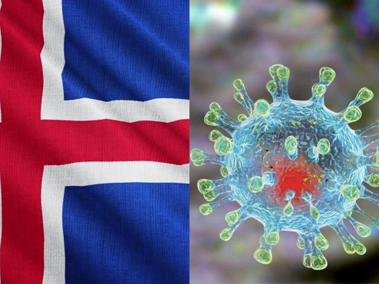 Исландия в период распространения коронавируса вырабатывает коллективный иммунитет