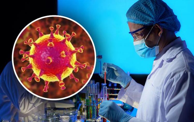 Микробиолог Александр Гольдфарб: эпидемия сойдет на нет, но вирус никуда не денется
