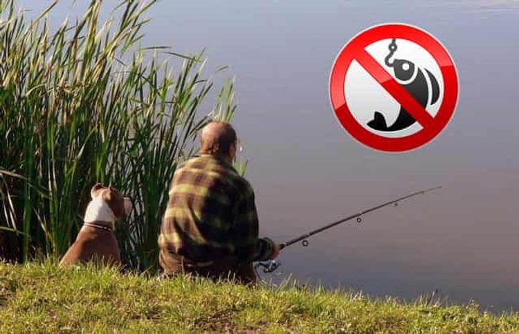 В Мурманской области из-за эпидемии коронавируса жителям запретили рыбную ловлю