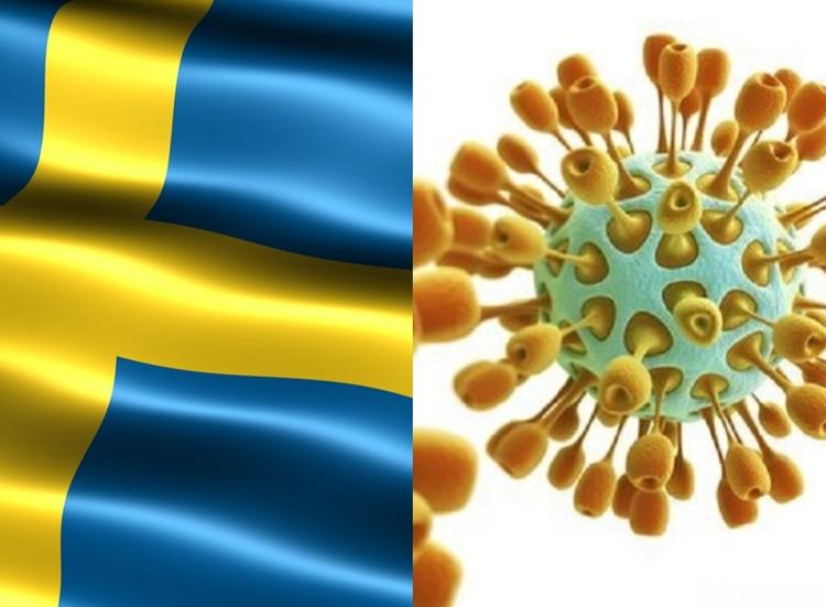 Шведская модель: правильное решение или угроза жизни