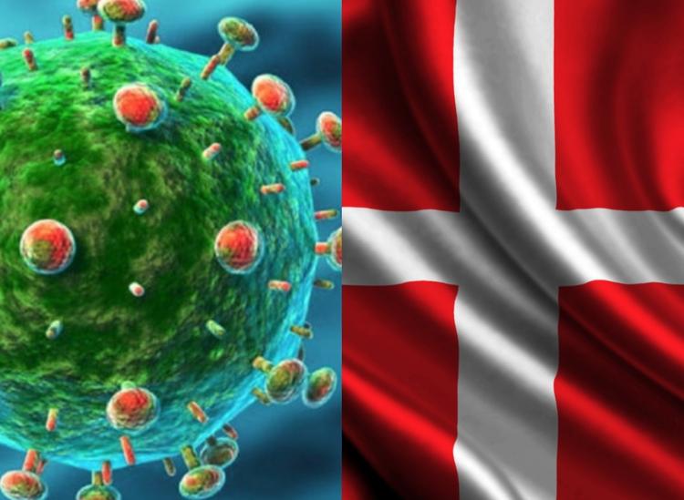 Коронавирусная ситуация в Дании и реакция правительства на пандемию