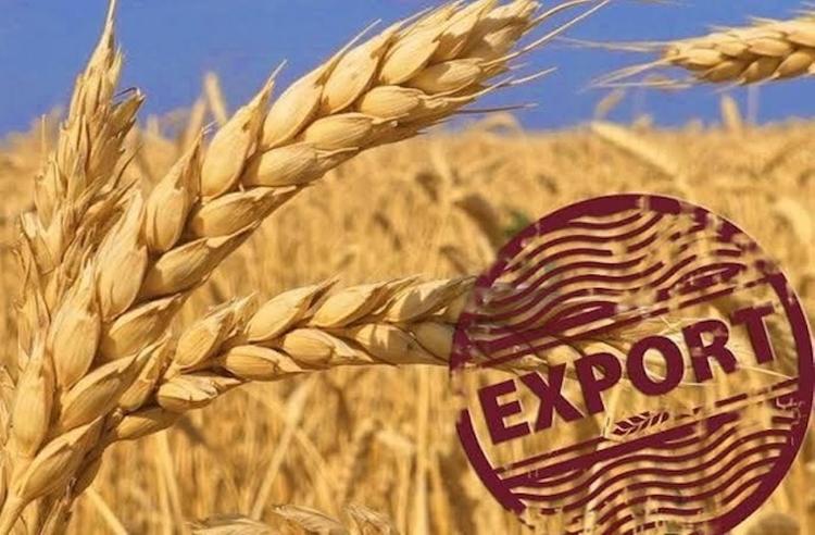 Российская пшеница впервые пошла в Саудовскую Аравию