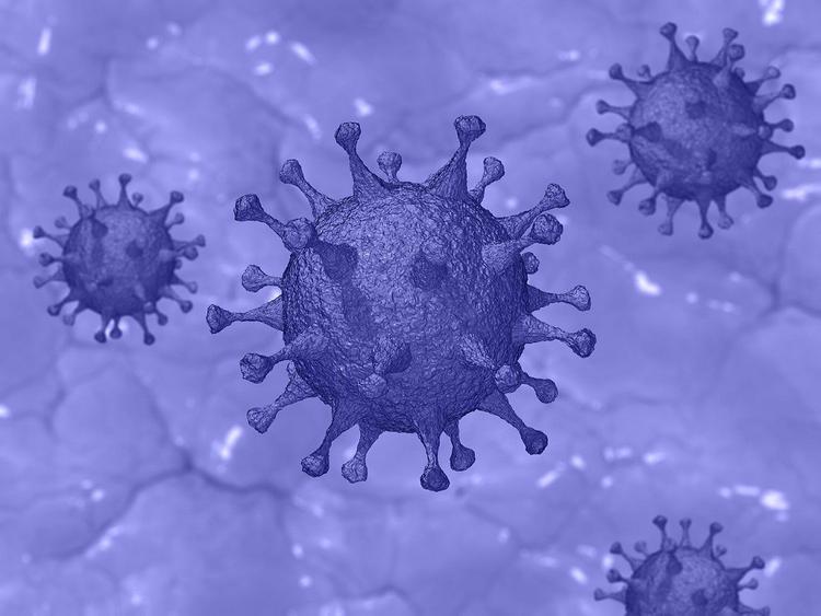 Ученый назвал «лучшего друга» коронавируса