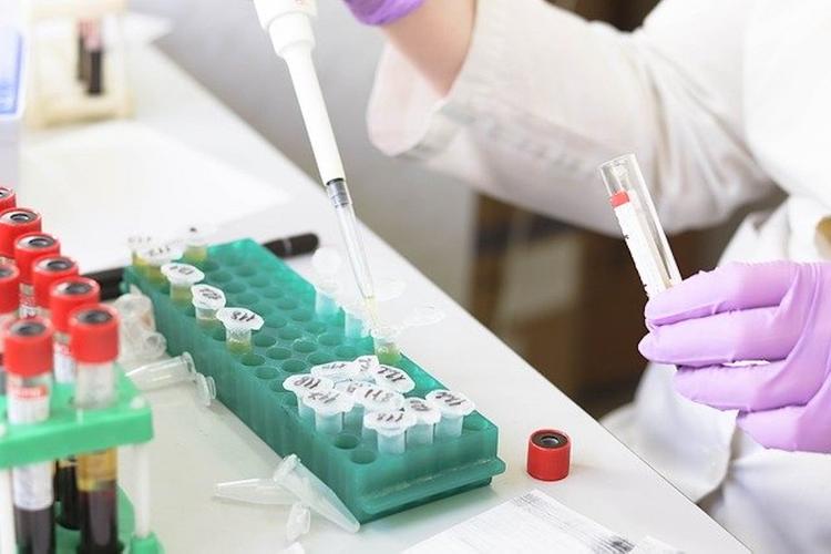 Количество зараженных коронавирусом в Грузии достигло 444 человек