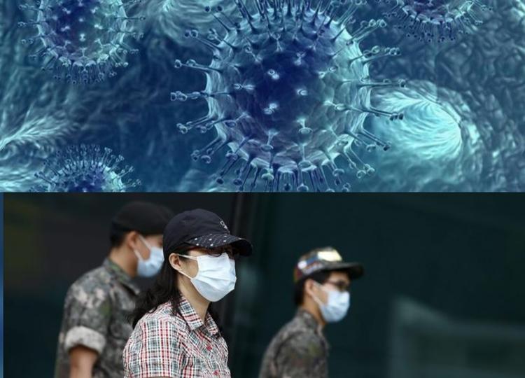 MERS, как предупреждение.  О коронавирусной эпидемии в Южной Корее, случившейся в 2015 году