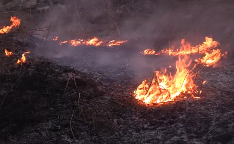 Чернобыльский лес подожгли, чтобы скрыть хищения на стройке хранилища ядерных отходов