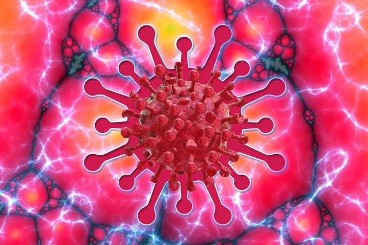 В Португалии число заразившихся коронавирусной инфекцией сейчас составляет 24 027 пациентов