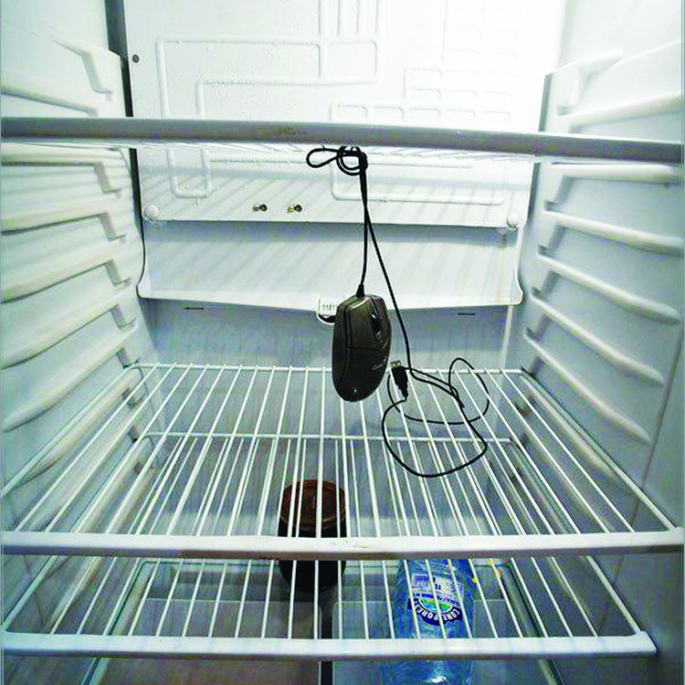 Зов холодильника