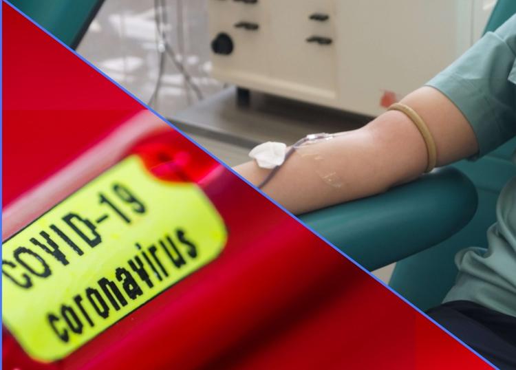 Российские доноры сдают кровь без прохождения теста на COVID-19