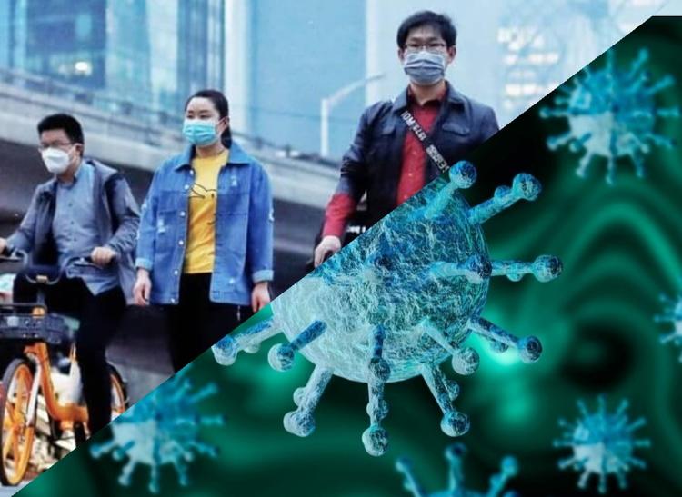 Харбинский кризис: вторая волна или просто локальный случай?  О новой вспышке коронавируса на территории Китая