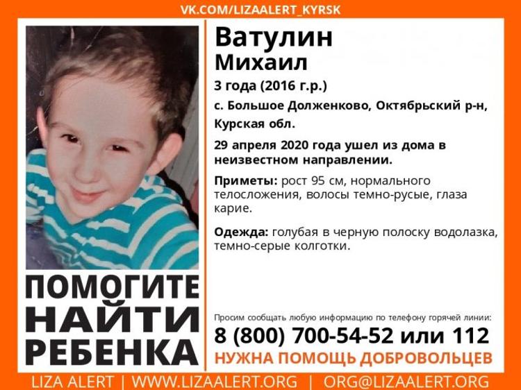 В Курской области почти 300  человек ищут пропавшего трёхлетнего мальчика 