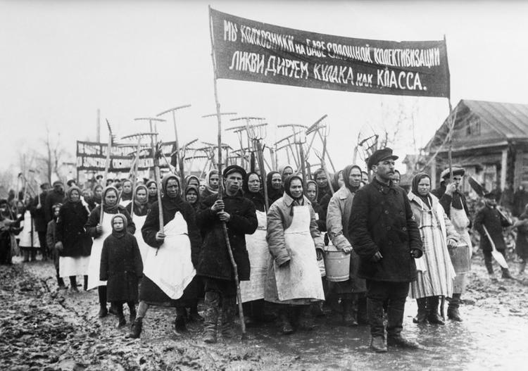 Пора сказать правду: половина всех жертв Сталинизма были  крестьяне 