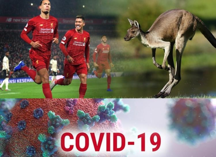 Футбольный чемпионат Англии из-за COVID-19 могут продолжить в Австралии