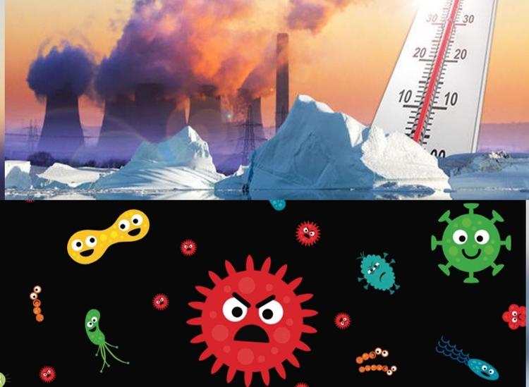 Глобальное потепление может привести к появлению неизвестных науке вирусов