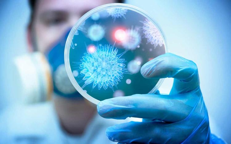 Как исследования вирусологов могут превратиться в реальную пандемию