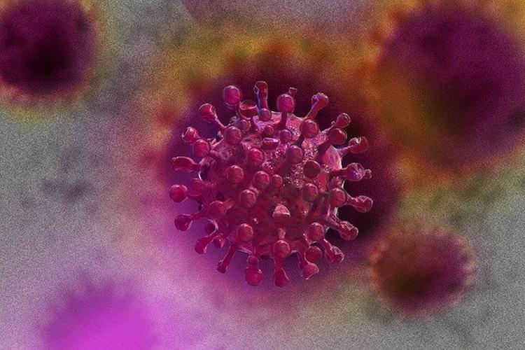 В США считают, что коронавирус унесет жизни 134 тысяч жителей страны