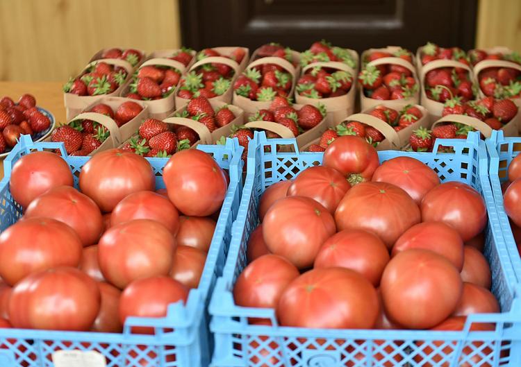 В Краснодарском крае фермеры ежедневно реализуют порядка 70 тонн овощей