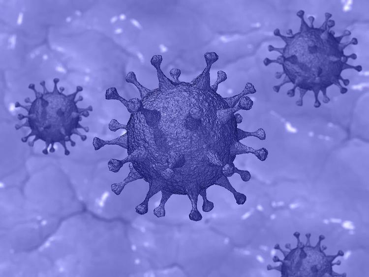 В Великобритании число зараженных коронавирусом нового типа превысило 200 тысяч человек