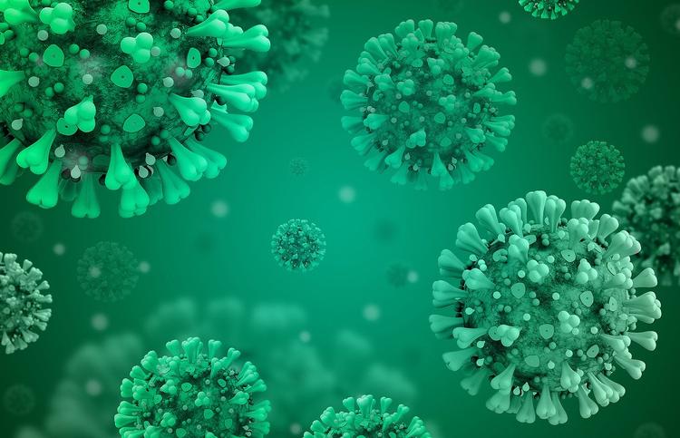 «Если мы не справимся к осени – будет вторая волна»: в России стартовало исследование по изучению иммунитета к коронавирусу