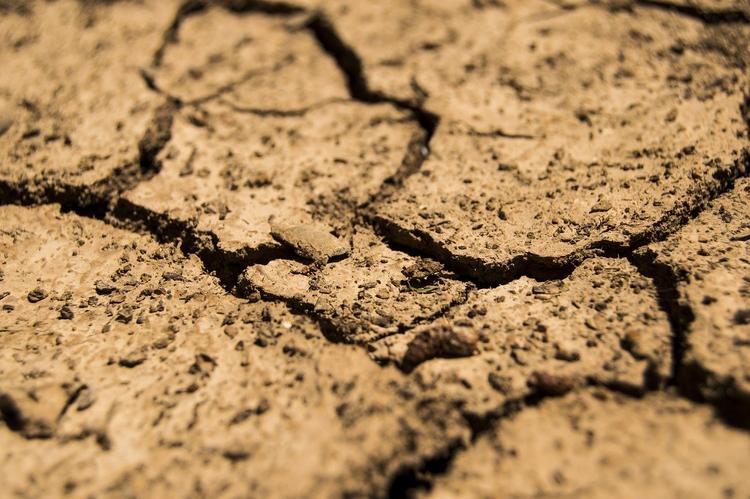 Эксперт: весной целый ряд регионов России попадает под угрозу почвенной засухи