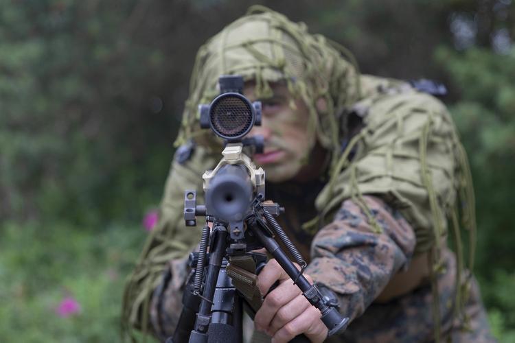 Украинский штаб обнародовал видео «работы российских снайперов» в Донбассе